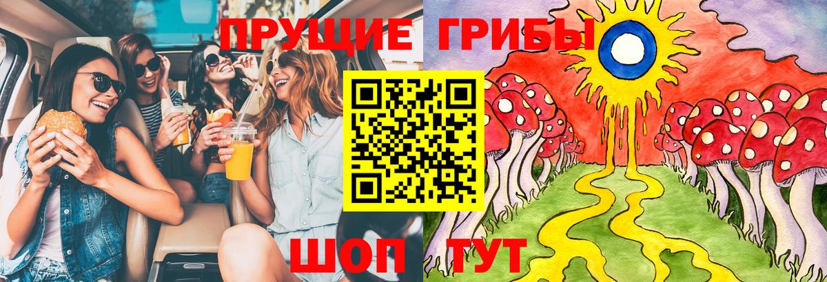 Псилоцибиновые грибы MAGIC MUSHROOMS Махачкала