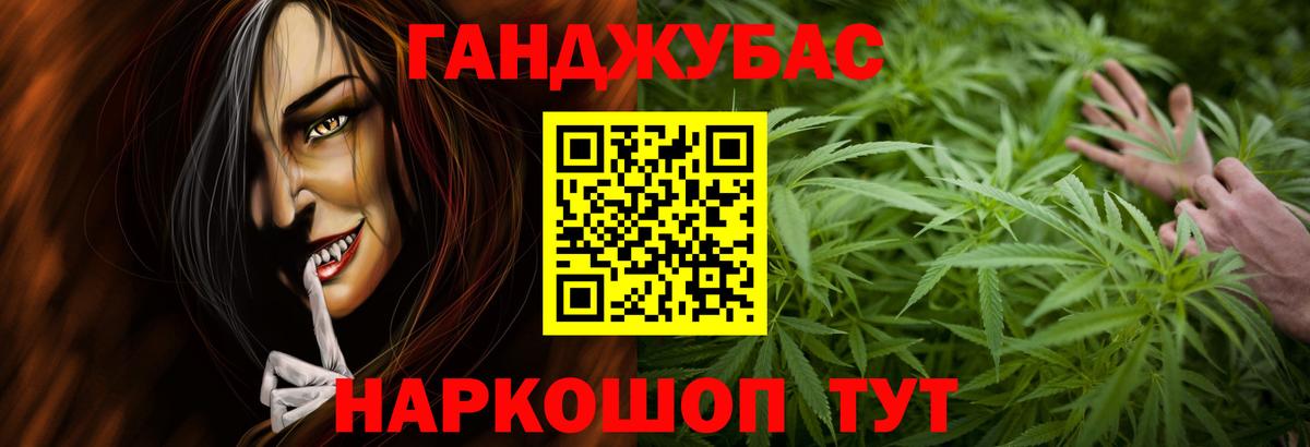Конопля сатива Махачкала